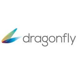 Dragonfly Logo